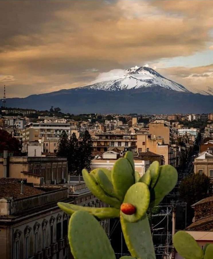 Catania Apartment Borgo Suite Autonomous Екстер'єр фото